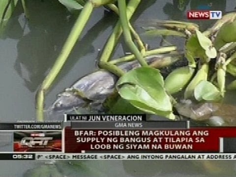 BFAR: Posibleng magkulang ang supply ng bangus at tilapia sa loob ng siyam na buwan