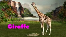 Compilation Learn Wild Animals Names vesves Sounds   Wild Zoo Animals Names   Wild Animals, Far