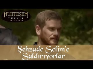 Şehzade Selim'e Saldırıyorlar - Muhteşem Yüzyıl 105.Bölüm