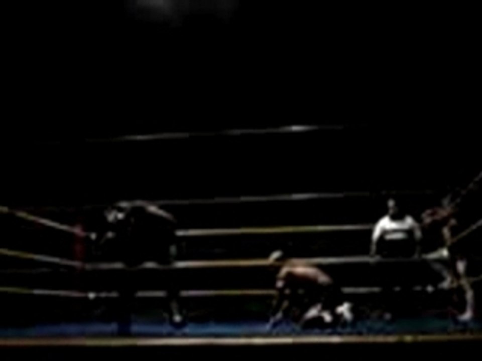 MOV01961