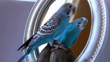 I Love Halva - פינוקיות חלבה מבית בארכה