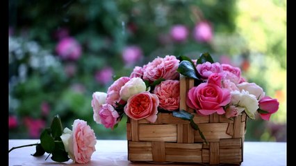 Христианская песня мама,Mama Christian song (video) [720]