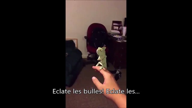 J'veux les bulles, j'veux les bulles! Adorable le caméléon...