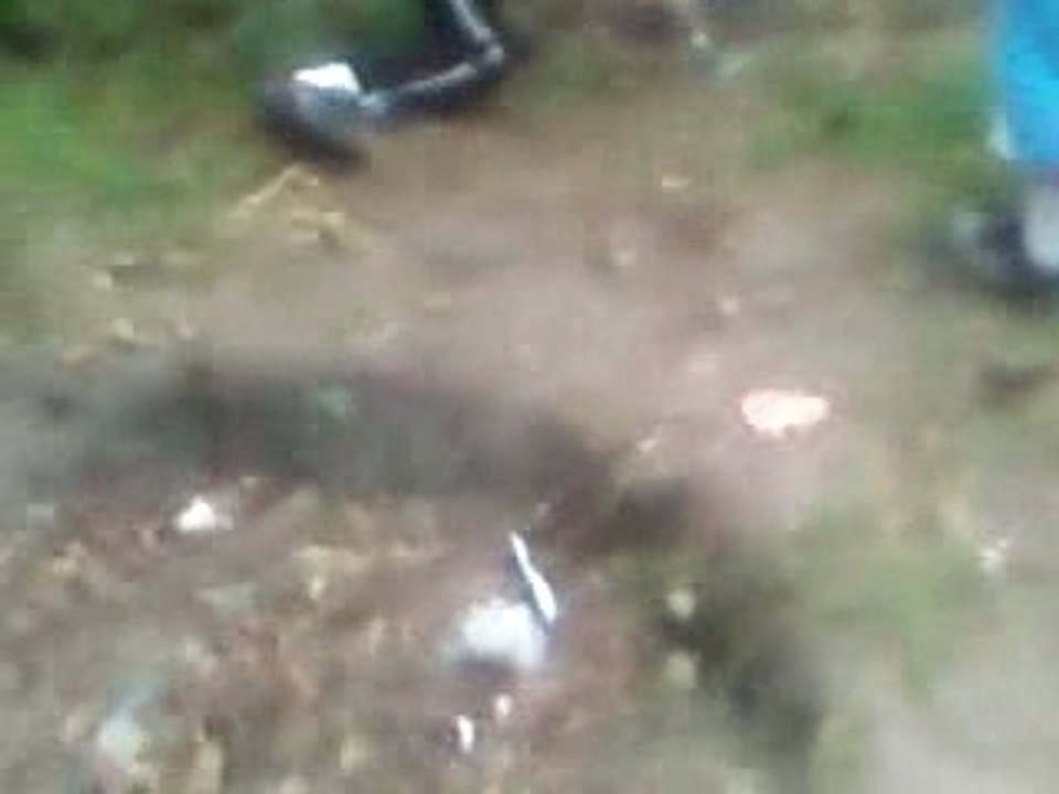 Banlieu , fou baston gang , sang , bombe