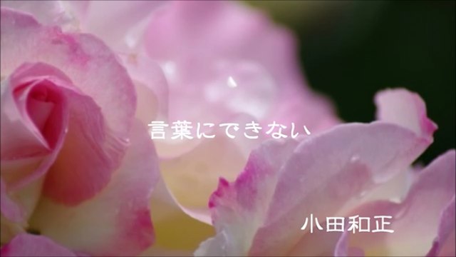 【名曲オルゴール -1-】「言葉にできない」　小田和正　[Classic Music Box Music Box - 1 -] Can not Talk Kazumasa Oda