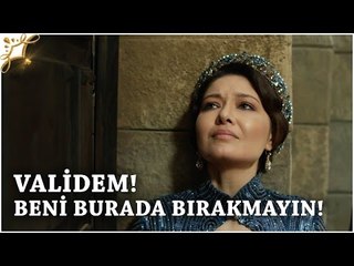 Muhteşem Yüzyıl Kösem - Yeni Sezon 8.Bölüm (38.Bölüm) | Validem! Beni Burada Bırakmayın!