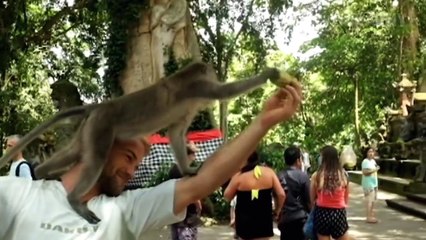 Fails of the Week 3 September 2016 - Fails Compilation