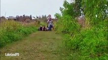 Giant alligator casually strolls through field of stunned American tourists