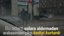 Yağmurdan kurtarılan kedi