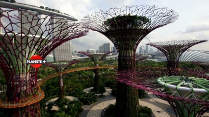 Rêver le futur (saison 2)