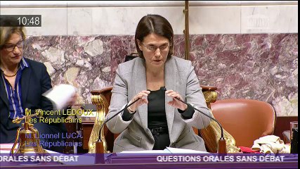 Lionnel Luca interroge le Ministre sur le projet de la prison de St Laurent du Var - QOSD 17.01.17