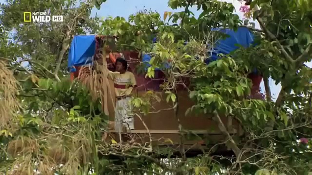 The Hunt for Man Killing Crocodiles