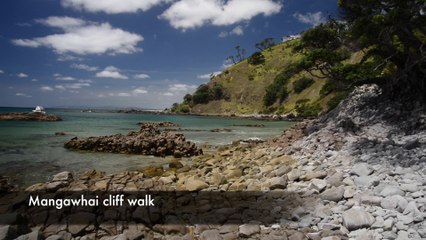 Road-trip dans le Northland - Nouvelle-Zélande