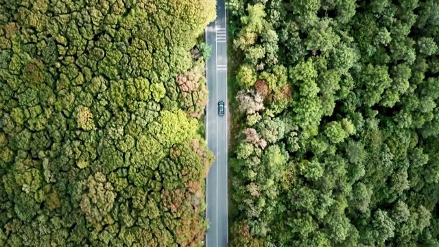 Türkiye’nin ilk internet dizisi Masum’dan ilk fragman