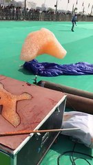 Foam Kite in India! KITE Festival! Sankranthi