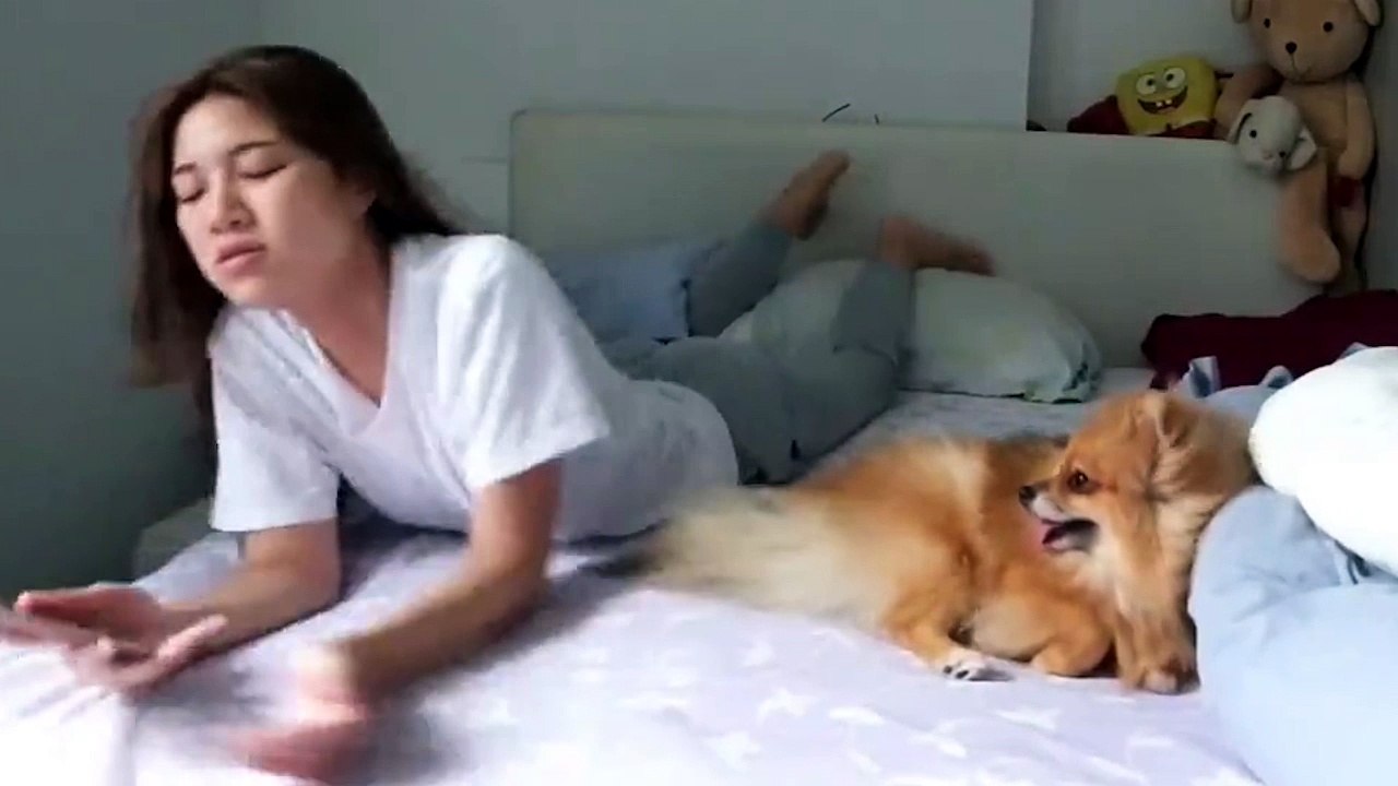Sarılmaya bayılan köpek
