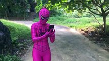 Pink spidergirl and Spiderman catch pokemon go! Captain, Batman - Funny superheroes real life