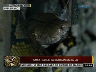 24Oras: Sawa, nahuli sa bakuran ng bahay sa Davao