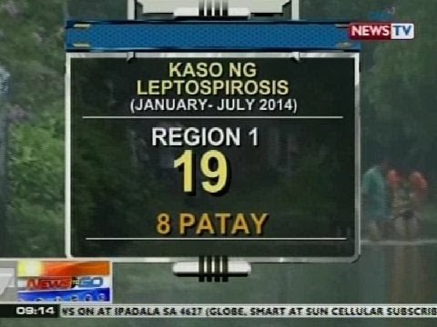 NTG: Kaso ng leptospirosis sa Region 1, tumaas