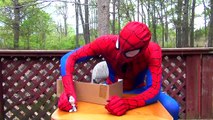 SPIDER-MAN with Frozen Elsa & Olaf Unboxing Toys   Funny Fun Spiderman Superheroes Movie Compilation