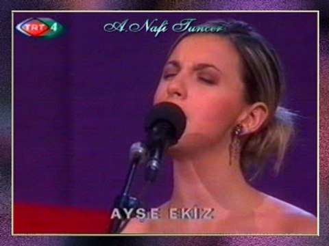 Ayşe EKİZ - Gölgesinde Mevsimler Boyu Oturduğumuz (O Ağacın Altı)