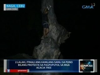 2 lalaki sa Cebu, itinali ang mga sarili sa puno bilang protesta sa pagpuputol sa mga acacia tree