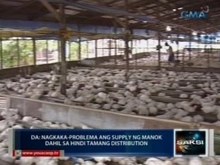 Saksi: Nagkakaproblema ang supply ng manok dahil sa hindi tamang distribution - Agriculture Dep't