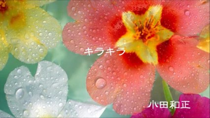【J-pop 名曲オルゴール -7-】  「キラキラ」  小田和正    【J-pop famous music box music-7】 "Glitter" Kazumasa Oda