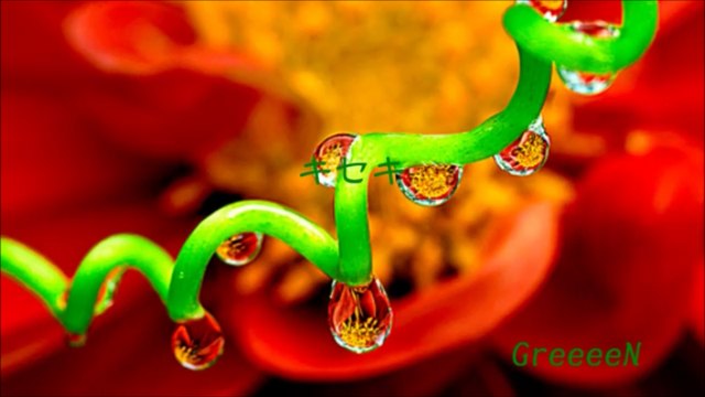 【J-pop 名曲オルゴール -10-】 「キセキ」 GreeeeN 【J-pop famous music boxes - 10 -】 Kiseki GreeeeN