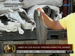 24 Oras: 5,000 kilo ng thresher shark's fin, nasabat sa Cebu