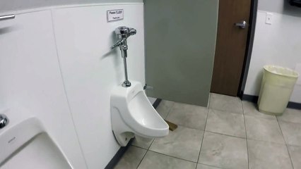 Ce chien pisse dans un urinoir et tire la chasse d’eau