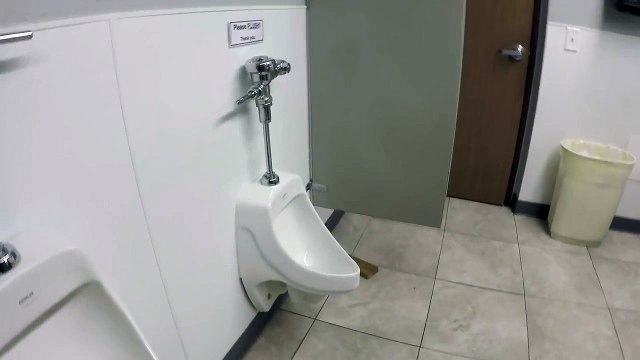 Ce chien pisse dans un urinoir et tire la chasse d’eau