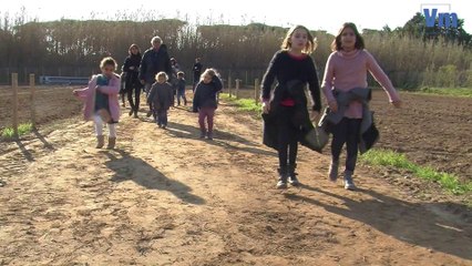 Les jardins familiaux débarquent à Porquerolles