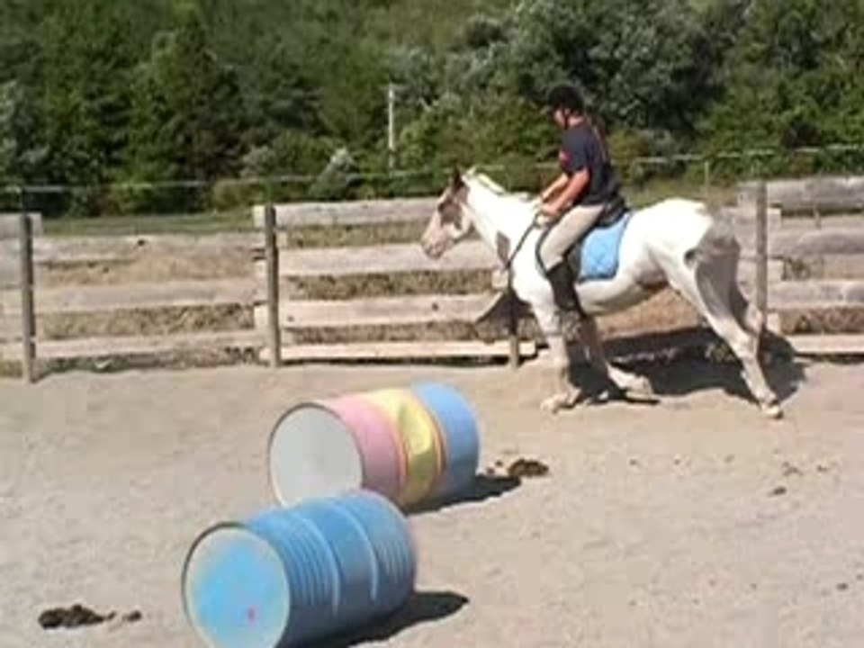 hidalgogallop freestyle