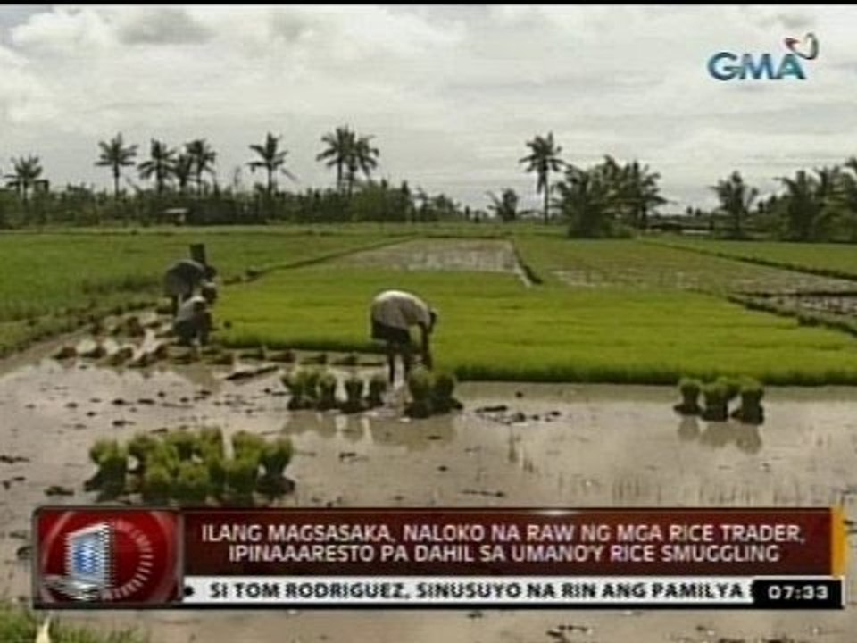 24 Oras: Ilang magsasaka, naloko na raw ng mga rice trader, ipinaaaresto pa