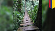 木製の吊り橋が崩落、7人死亡　コロンビアの自然保護区