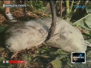 Saksi: Pagpatay sa magkaibigang menor de edad, posibleng may kinalaman sa most wanted sa Noveleta