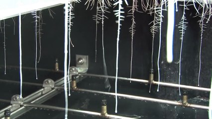 How Does Aeroponic Systems Work