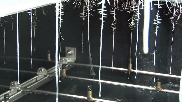 How Does Aeroponic Systems Work