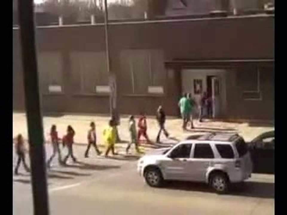 Chat qui mange dans la boite + jeunes