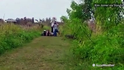 Un alligator géant a surpris les visiteurs d'une réserve naturelle en Floride