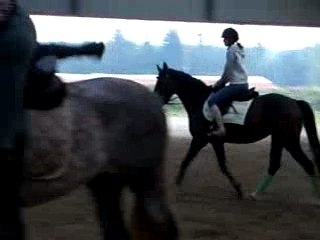 Pirouette et moi au trot