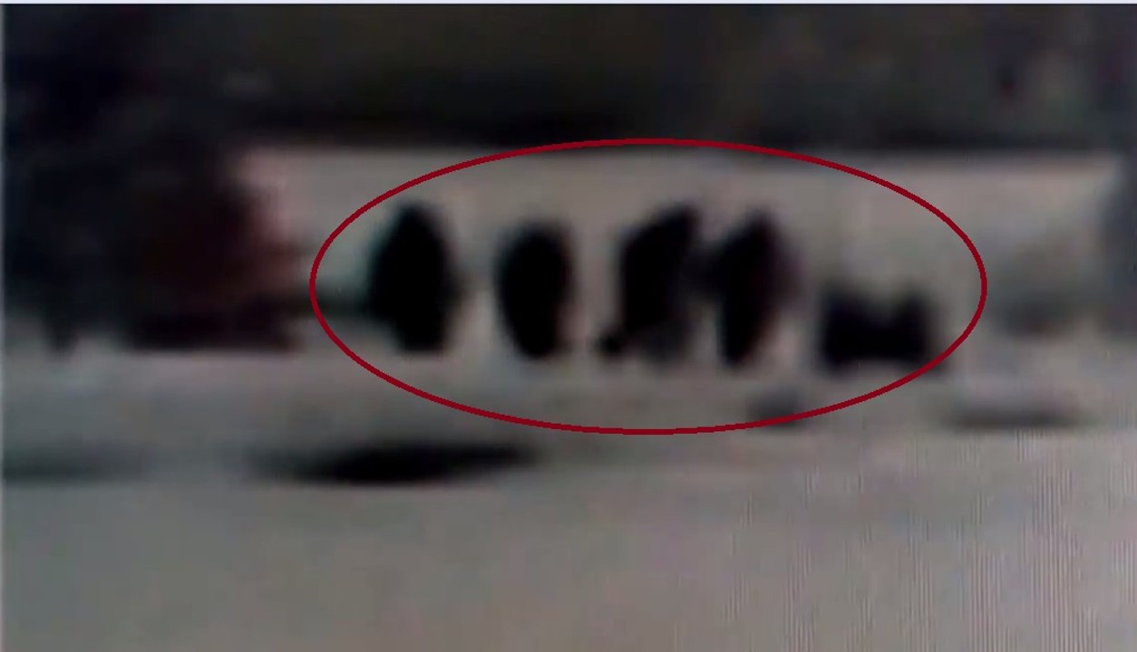 Bigfoot Family Of Six Captured on CCTV webcam In Yellowstone-Xmas Day 2016