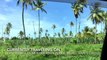 Traveling Down The East Coast Demerara Main Public Road- Republic Of Guyana (HD) (60FPS)