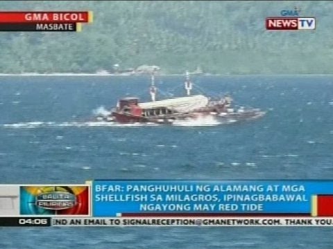 Panghuhuli ng alamang at mga shellfish sa Milagros, Masbate ipinagbabawal dahil sa red tide
