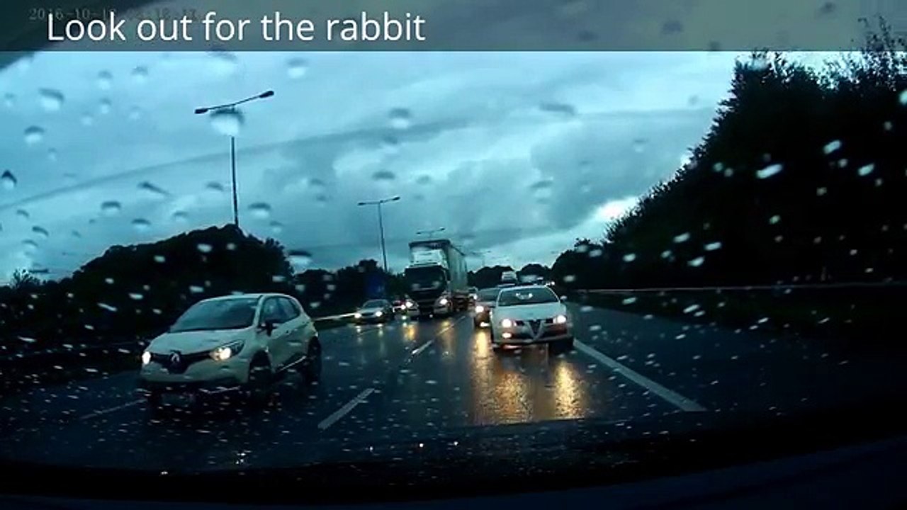 M6 Rabbit run!!!!