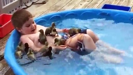 Baby bath with baby ducks animal funny videos animal with baby