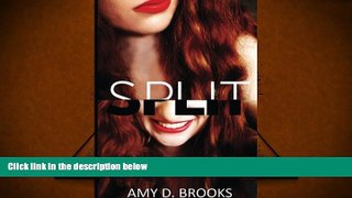 Read Online Split: A Life of Madness Amy D. Brooks Pre Order