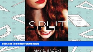 PDF  Split: A Life of Madness Amy D. Brooks Trial Ebook