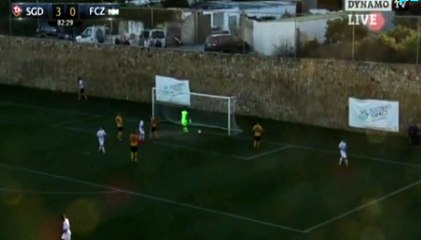 Cavusevic Goal HD - SG Dynamo Dresden 3-1	Zurich 17.01.2017